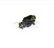 200Tdi Steering Pump For Land Rover Discovery 1 For Range Rover Classic NTC8288