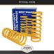 Fits Range Rover Classic Front Standard Hight Performance Handling Coil Springs