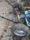 Land Rover Range Rover Classic 2 Door / Early 4 Door SuffixH Disc Front Axle RHD