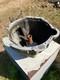 Land Rover Range Rover classic V8 Manual Gearbox Bellhousing