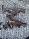 RANGE ROVER Classic 3.5 3.9 4 Exhaust Manifolds As A Pair Discovery 4.0 V8 Lot7