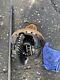 Range Rover Classic Rear Axle Complete Used Long Nose 3.54 / 1 10 Spline Diff