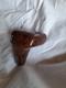 Range rover classic wood shifter real NOs new